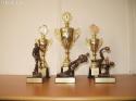 Štatistika pohárov a trofejí Štatistika pohárov a trofejí