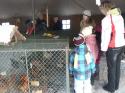 ZOO pripravili vrábeľskí chovatelia (ďakujeme) ZOO pripravili vrábeľskí chovatelia (ďakujeme)