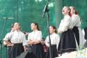 Vrábežské slávnosti vinobrania 2013 Vrábežské slávnosti vinobrania 2013