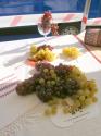 Vrábežské slávnosti vinobrania Vrábežské slávnosti vinobrania